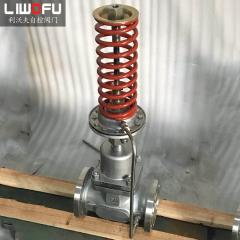 自力式壓力調(diào)節(jié)閥：科技引領(lǐng)，壓力控制新篇章